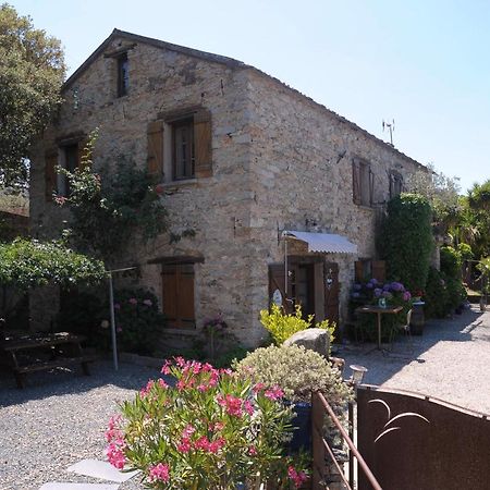 Bed and Breakfast A Casa Di Paulina Casta Exterior foto