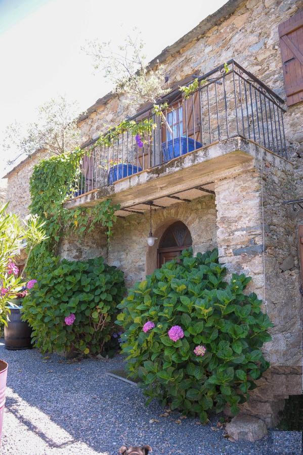 Bed and Breakfast A Casa Di Paulina Casta Exterior foto